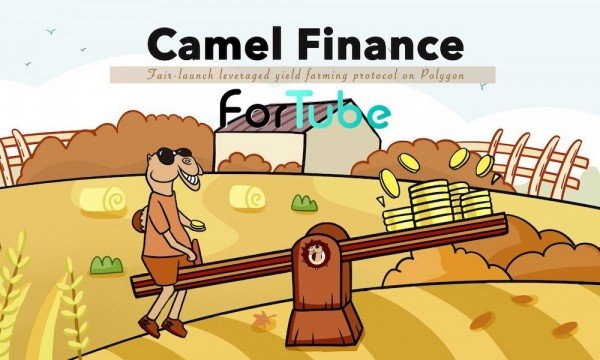 Финансовое партнерство Fortube – Camel