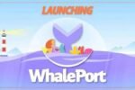 Whalefall запустила универсальный сервис DeFi и DEX Whaleport на BSC