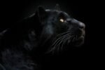 Panther привлекает 22 миллиона долларов в 1,5-часовой публичной продаже