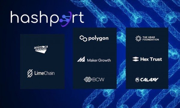 Hedera запускает Hashport для межсетевой передачи активов