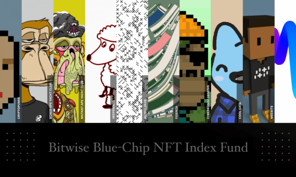 Bitwise запускает индексный фонд NFT-трекинга для аккредитованных инвесторов