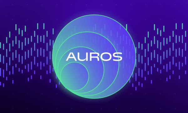 Auros не выплатила $7,5 млн по кредиту Maple Finance