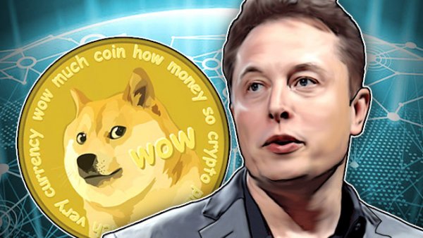 Илон Маск поручил своему советнику заняться развитием Dogecoin